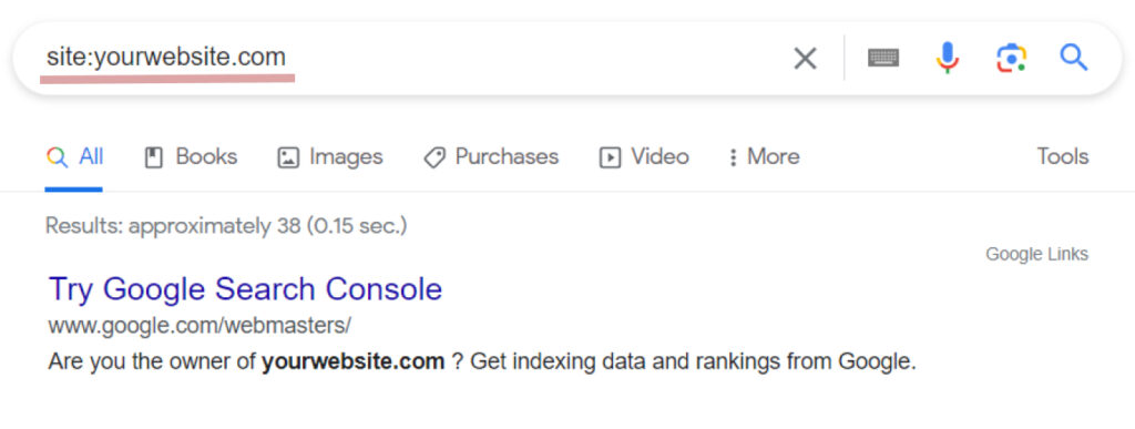 The Google interface that displays the number of pages of a website after the command site